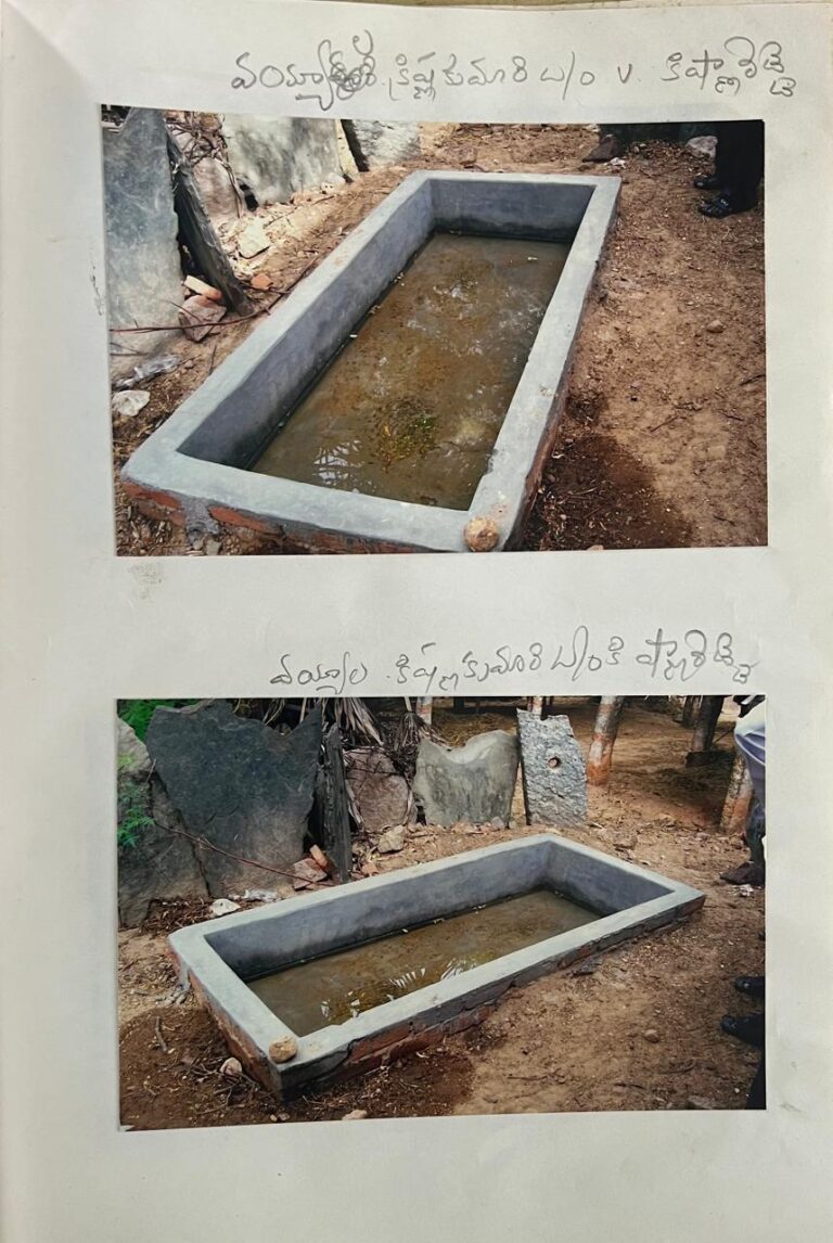 How to properly care for wool